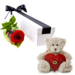 Single Rose Pack (L1)