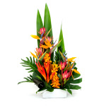 Tropical Bliss