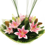 Lush Lilies