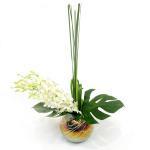 Fabulous Fishbowl 