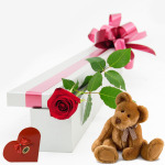 Single Rose Pack