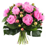 Lush Peonies