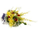 Sympathy Sheaf (S3)