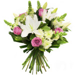 White Lilac
