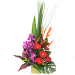 Tropical Glory (A28)