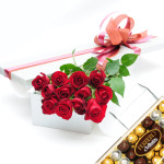 Premium Boxed Red Dozen