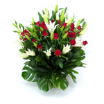 Elegance Arrangement