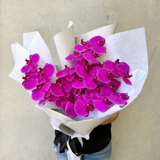 Luxe Magenta Orchids