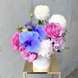 Spring Blossom