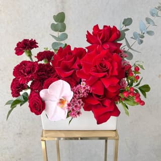 Scarlet Garden