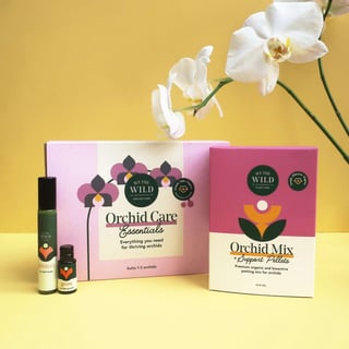 Orchid Care Kit