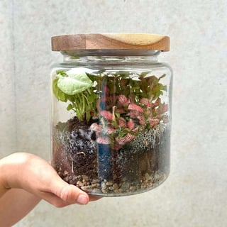 Tropical Terrarium