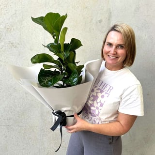 Fiddle Leaf Fig