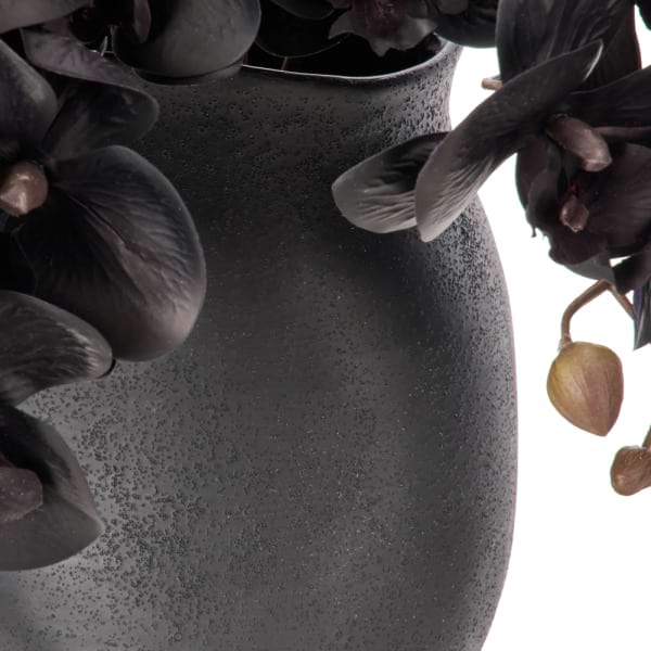 Black Phalaenopsis Orchids in a Maliah Pot 3