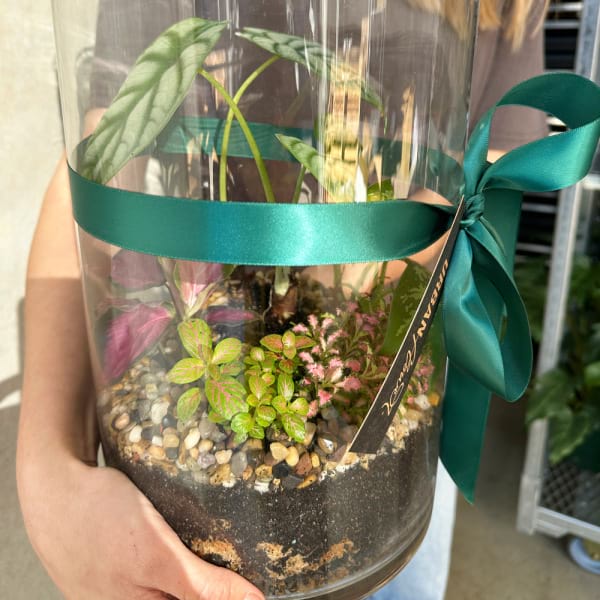 Forest Terra Terrarium 2