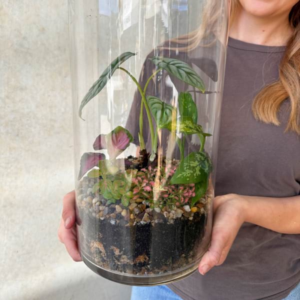 Forest Terra Terrarium 5