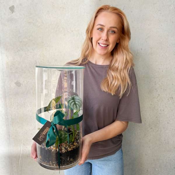 Forest Terra Terrarium 3