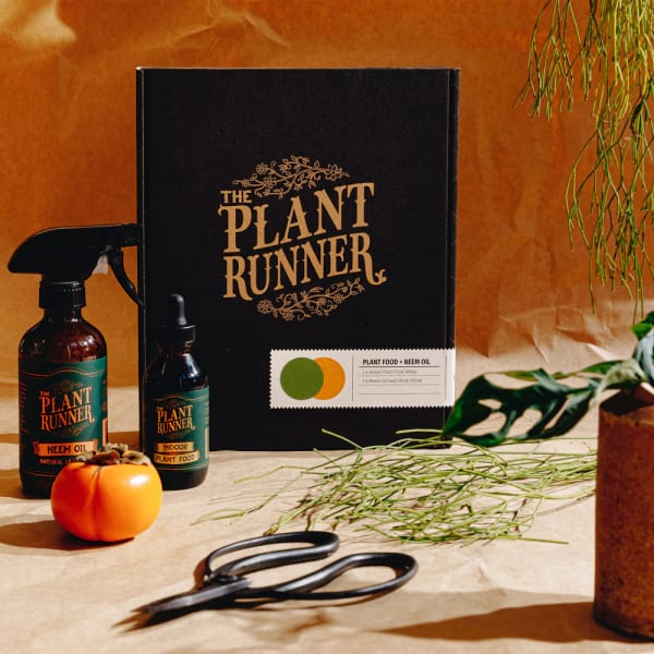 Plant Care Essentials Kit 3
