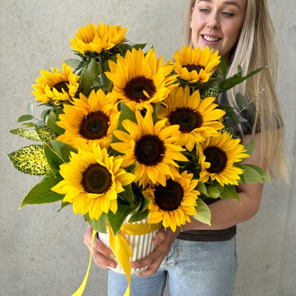 Sunflower 3