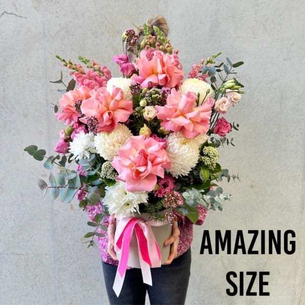 Amazing Size Little Princess