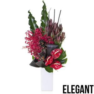 The Bungan - Elegant