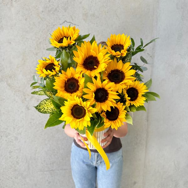 Sunflower 4