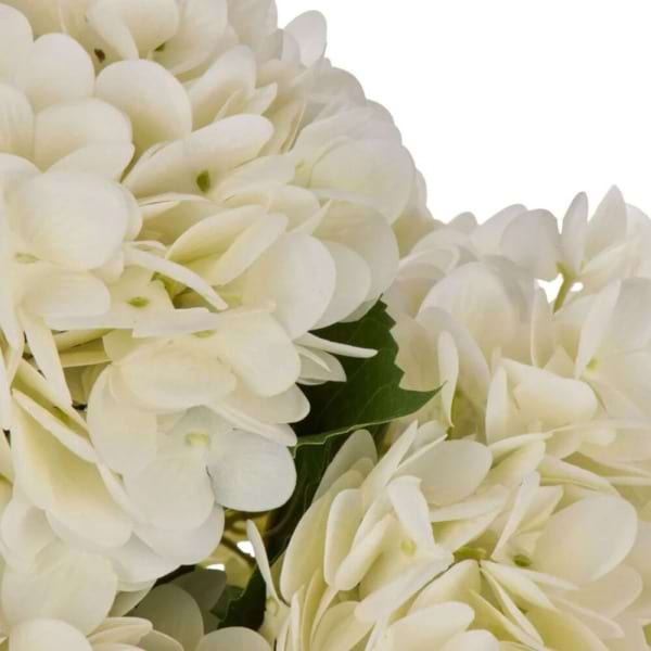 Elsie Hydrangea Vase