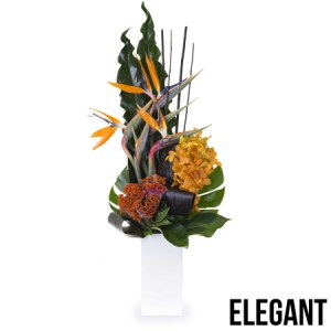 The Bondi - Elegant