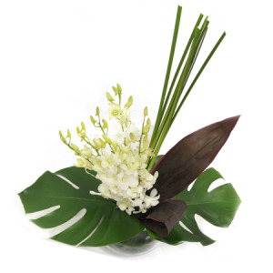 Fabulous Fishbowl Top