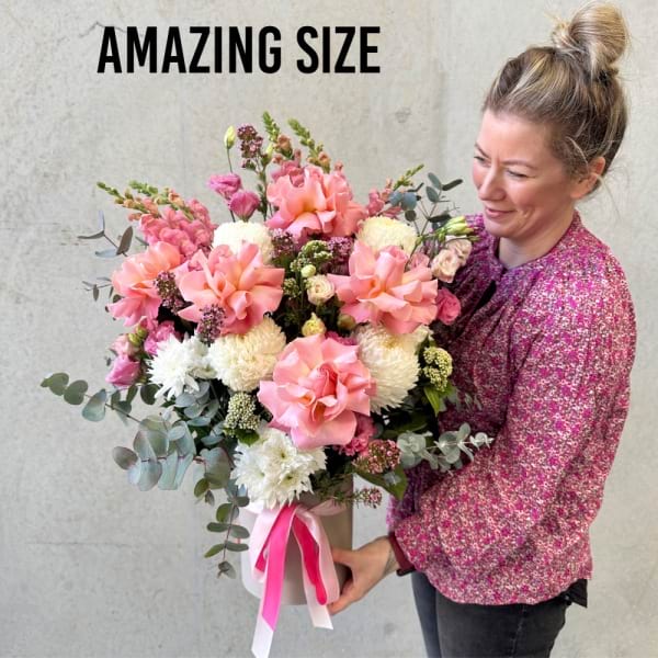 Amazing Size Little Princess 2