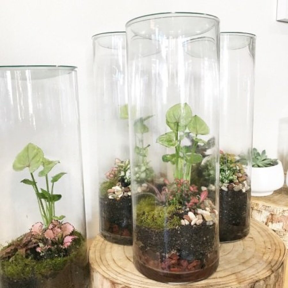 Urban Flowers Sydney CBD Florist Sydney CBD 02 9745 1668