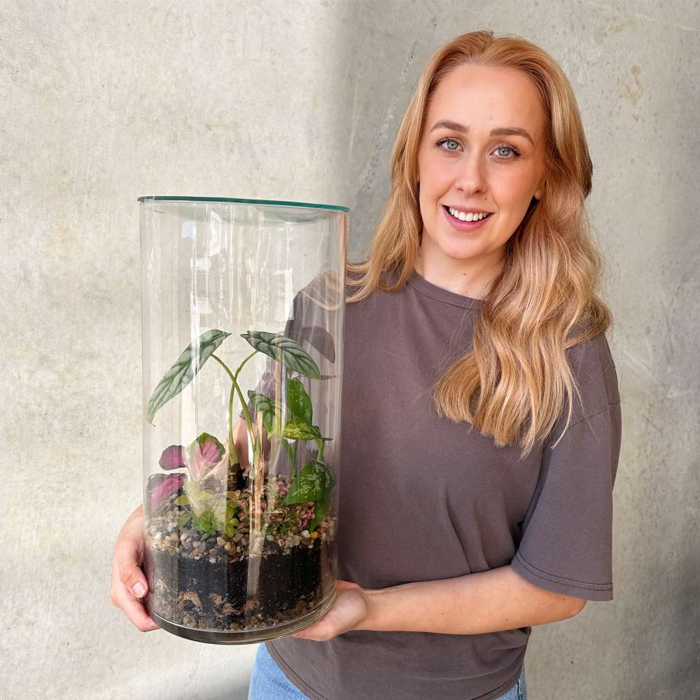 Forest Terra Terrarium