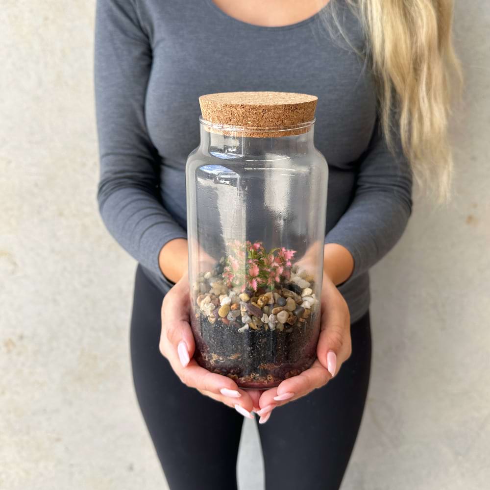 Mini Jar Terrarium