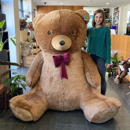 giant stuffed animal delivery