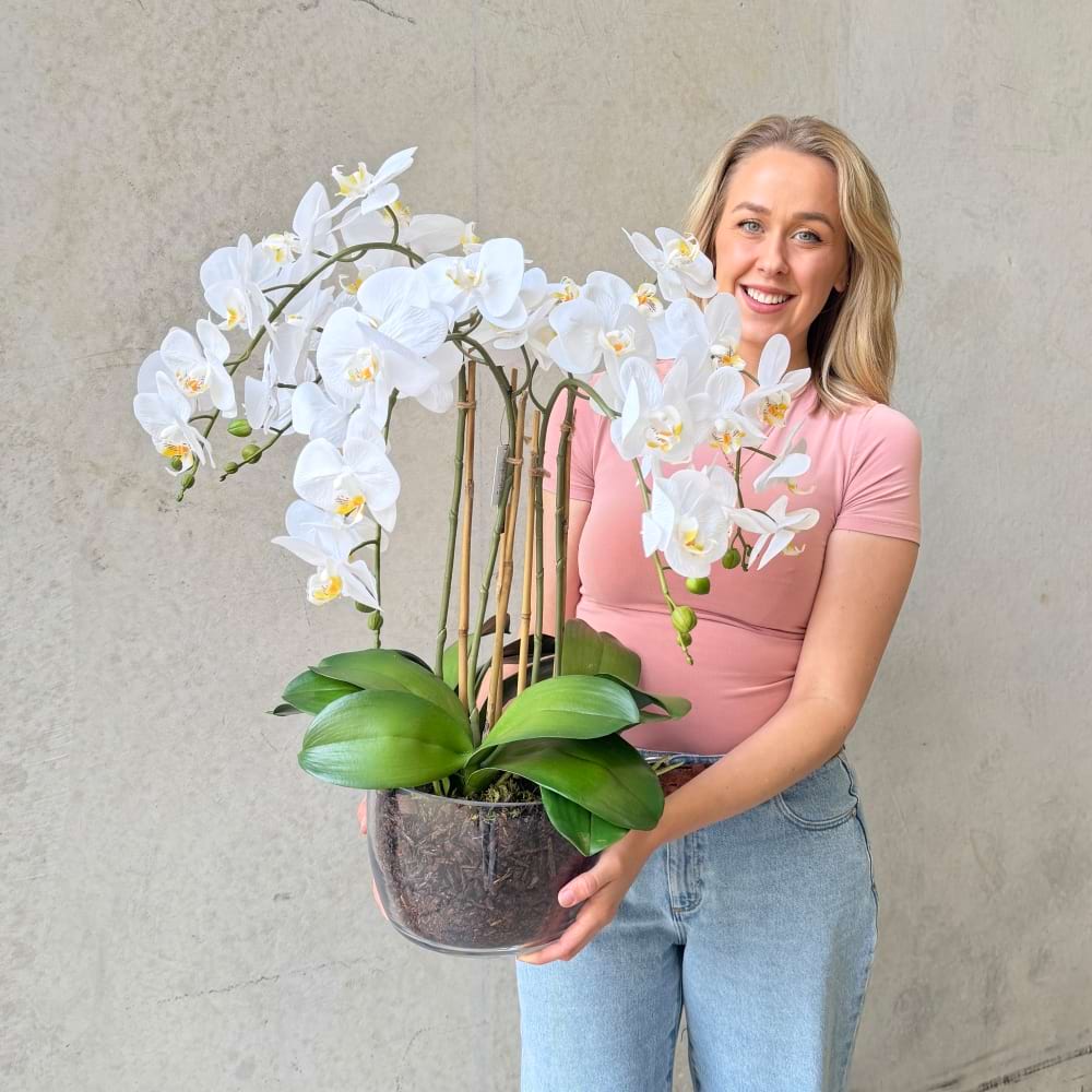 Luxe White Orchid Arrangement - Everlasting