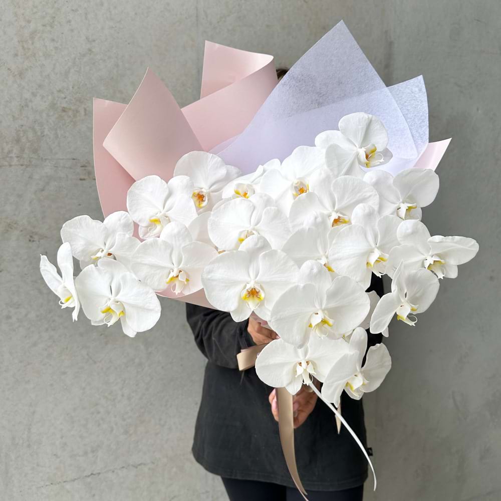 Luxe White Orchids