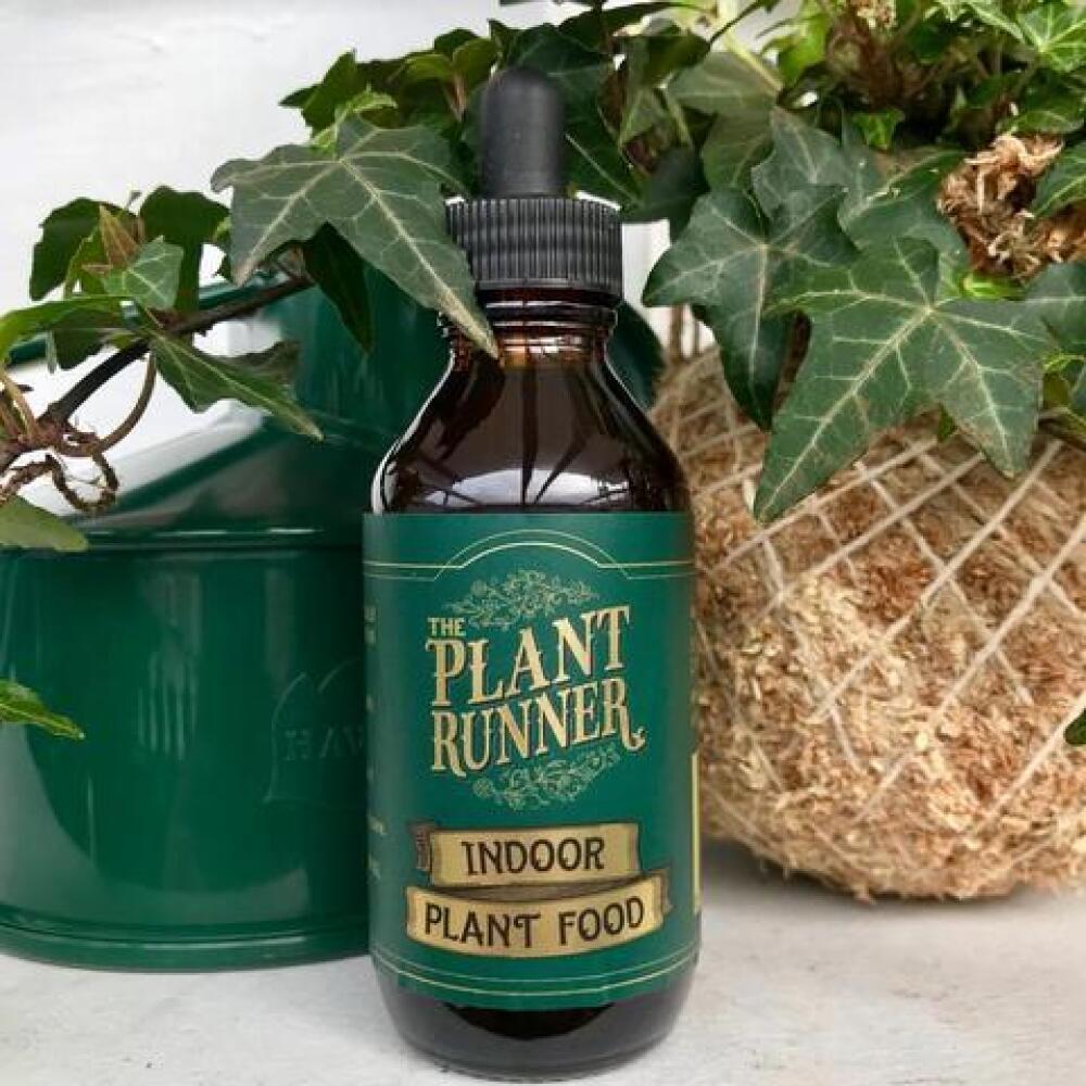 Indoor Plant Food - Plant Runner
