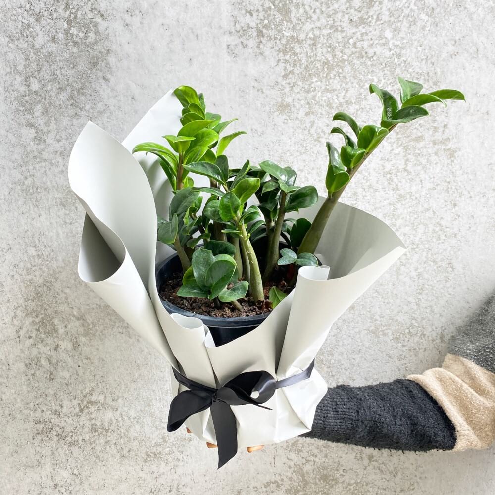 Urban Flower Sydney Florist Flower Delivery Sydney Sydney Flowers