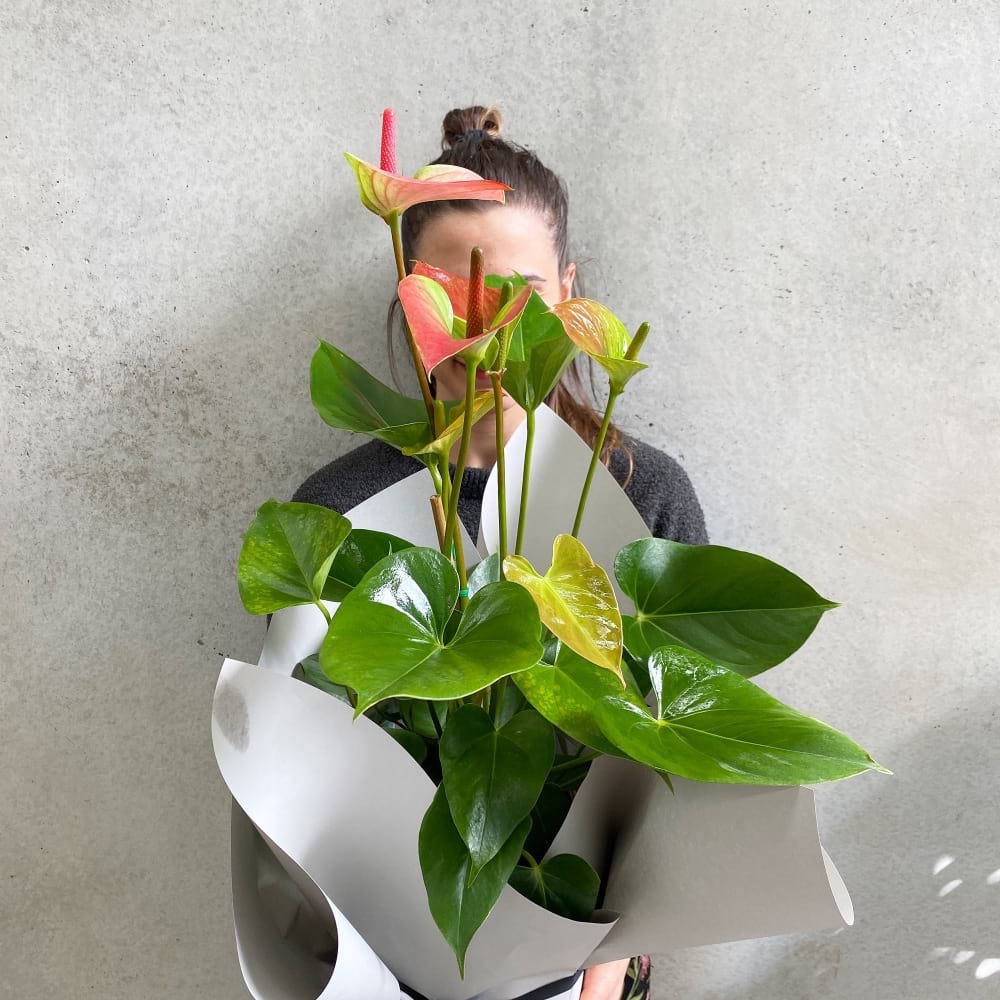 Urban Flowers Quakers Hill Florist Quakers Hill 02 9745 1668