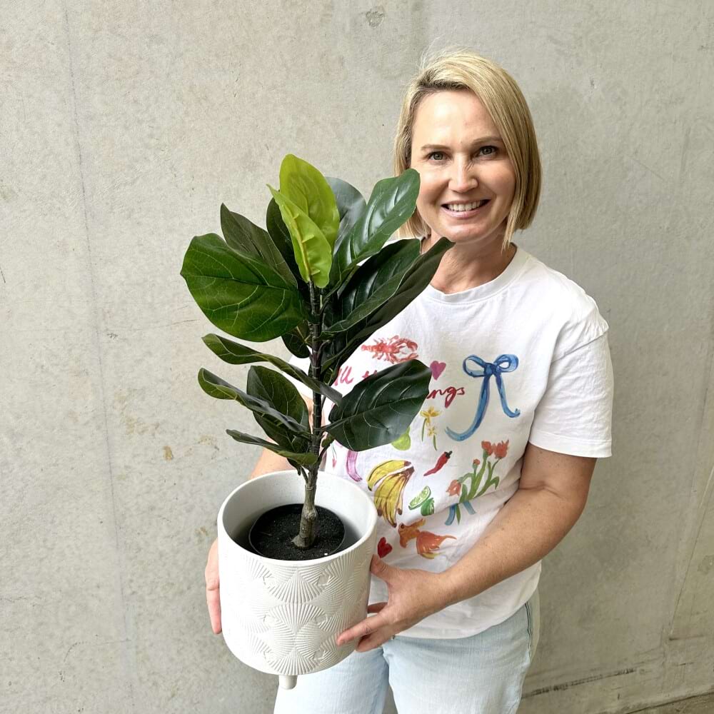 Fiddle Leaf - Everlasting