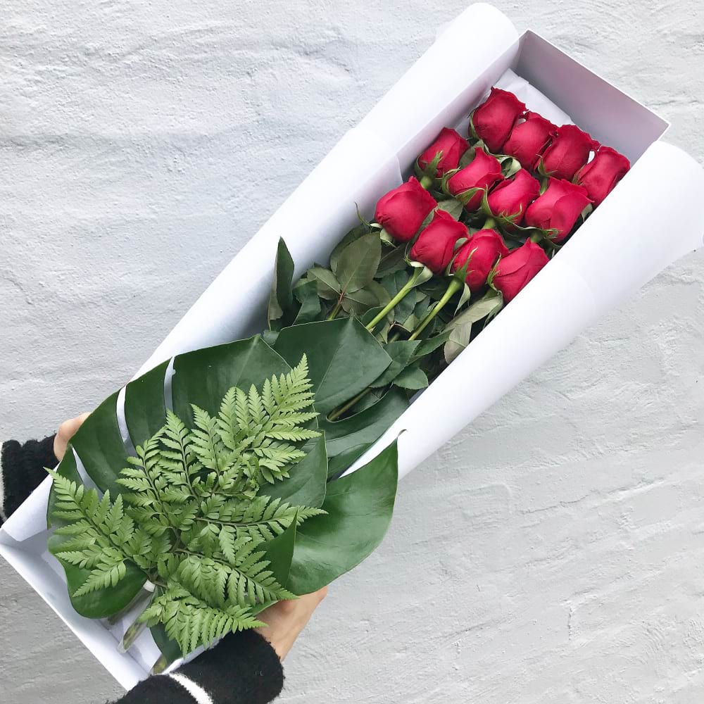 12 Luxe Red Roses